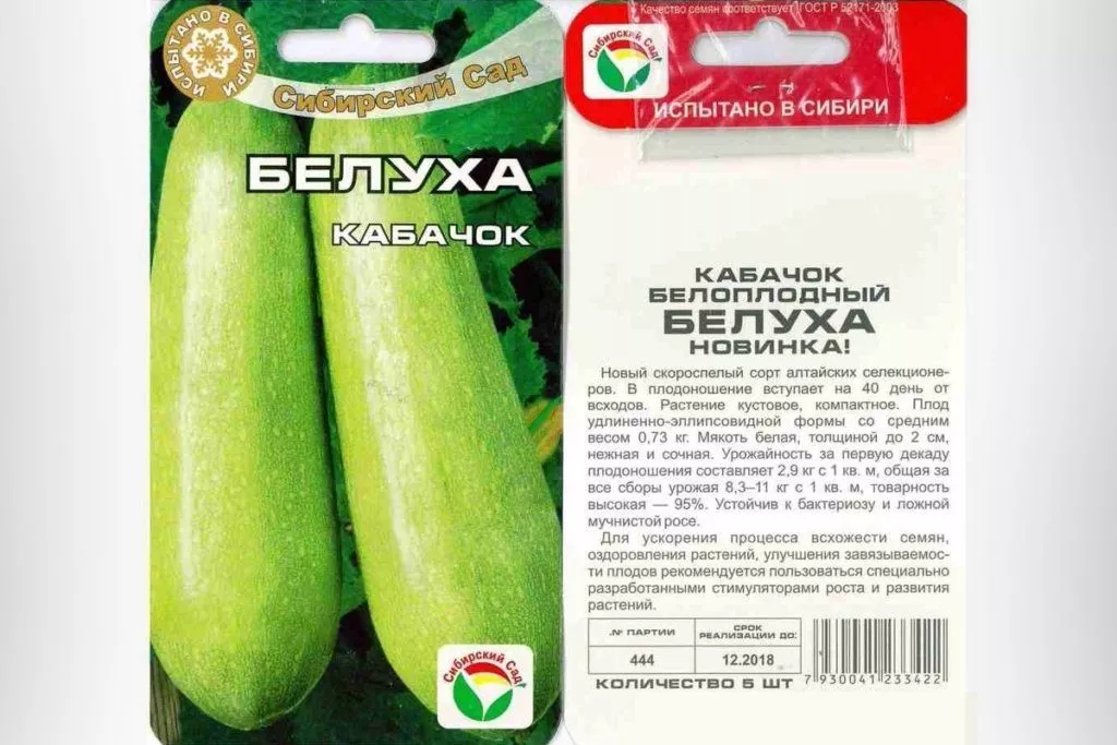 Zucchine Belukha