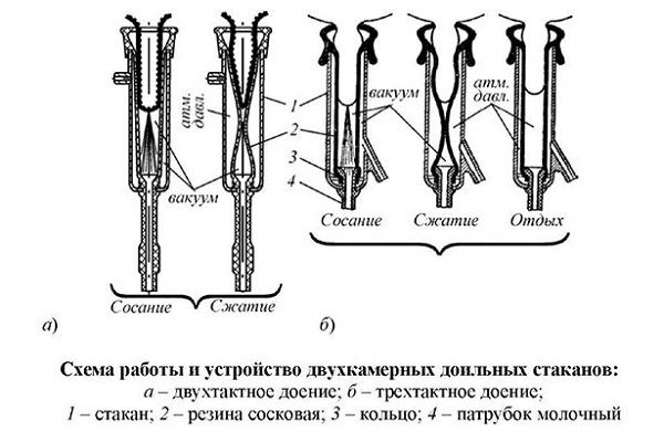 Sağım makinesi diyagramı