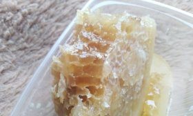 Un morceau de rayon de miel