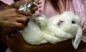 Sırt üstü yatarak