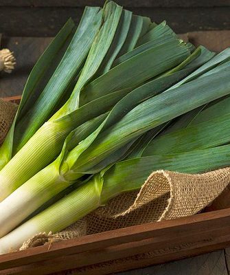 AFJHBKADx0SDkjtVFfaeve7XSX0PeAnRGkYOCYr1