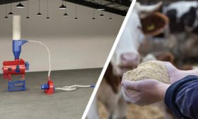 Mini moulin à aliments pour animaux