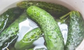 Restauration des concombres