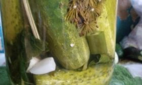 Salatalıkların saklanması