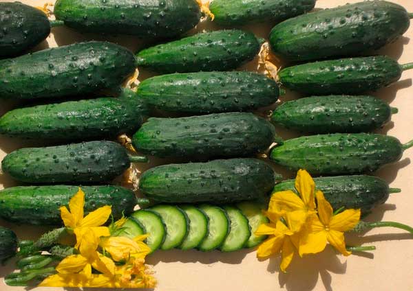 Récolte et stockage