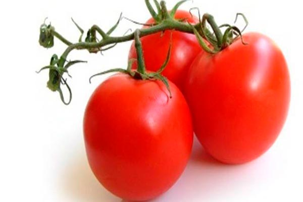 Çalıların ve meyvelerin tanımı