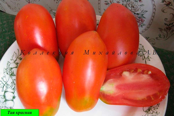 Bitki ve meyvelerin tanımı