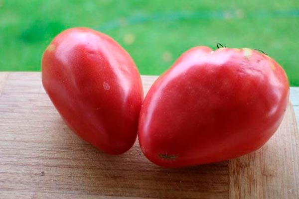 Bitki ve meyvelerin tanımı