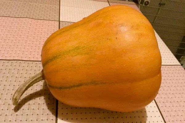 Meyvelerin tadı ve amacı